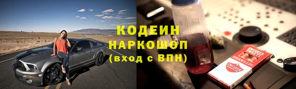 мяу мяу мука Алзамай