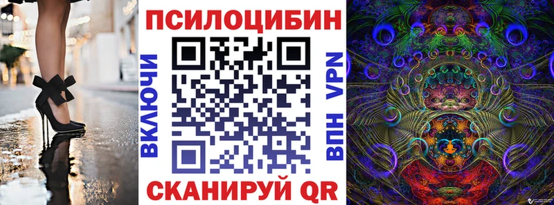 цена   Туринск  Псилоцибиновые грибы Cubensis 